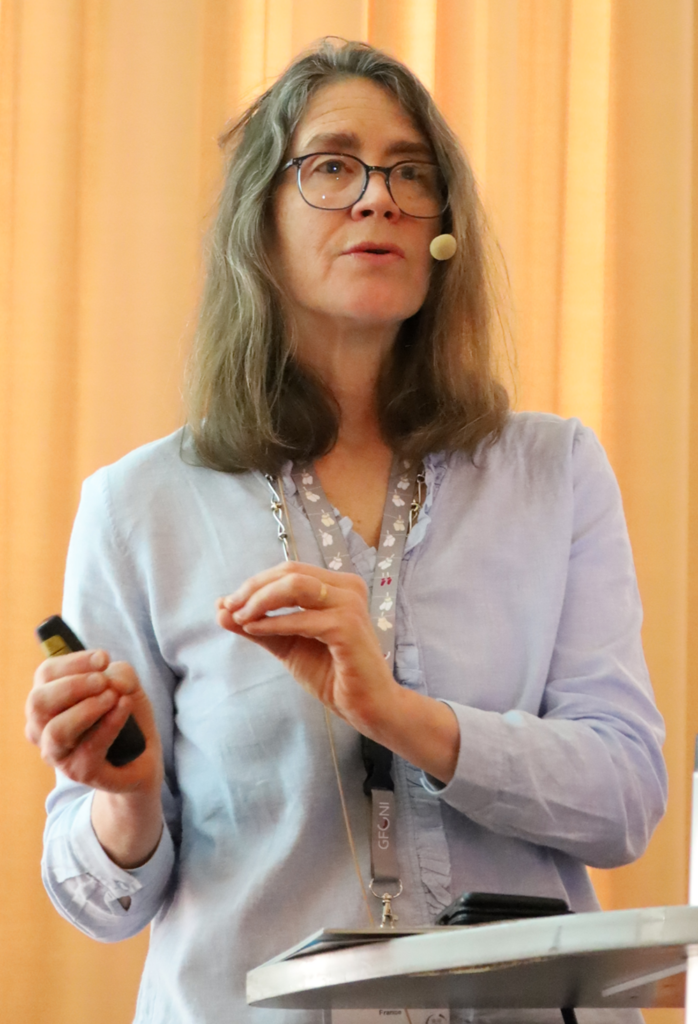 Professor Jennifer Zeitlin presenting on very preterm birth research at the IMPROVE PRETERM workshop